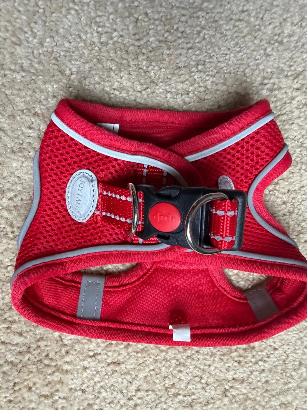 Joytail Red Harness